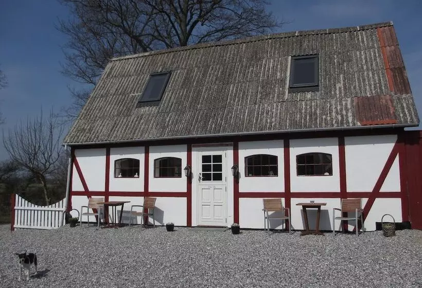 Jungshoved Præstegård B&b