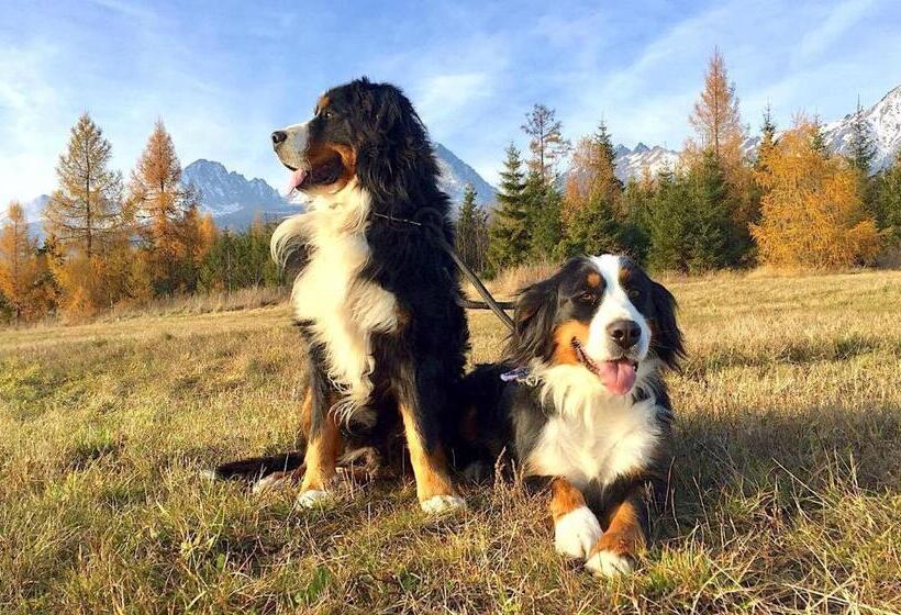 Rodinný Hotel Hubert High Tatras