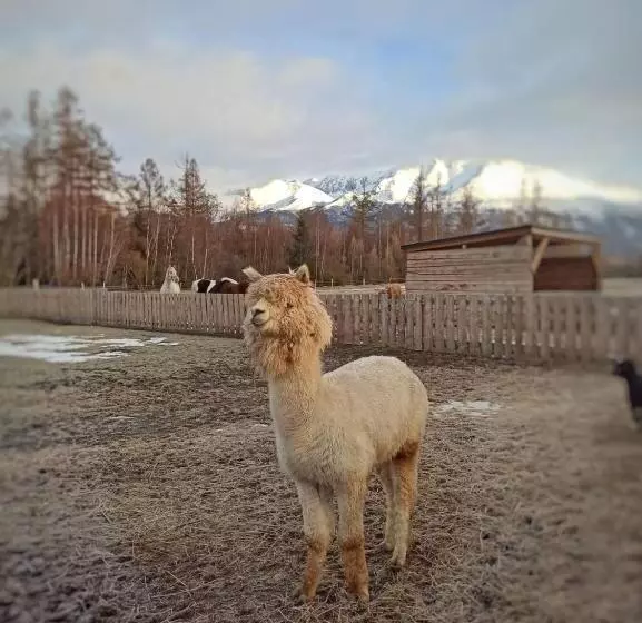 Rodinný Hotel Hubert High Tatras