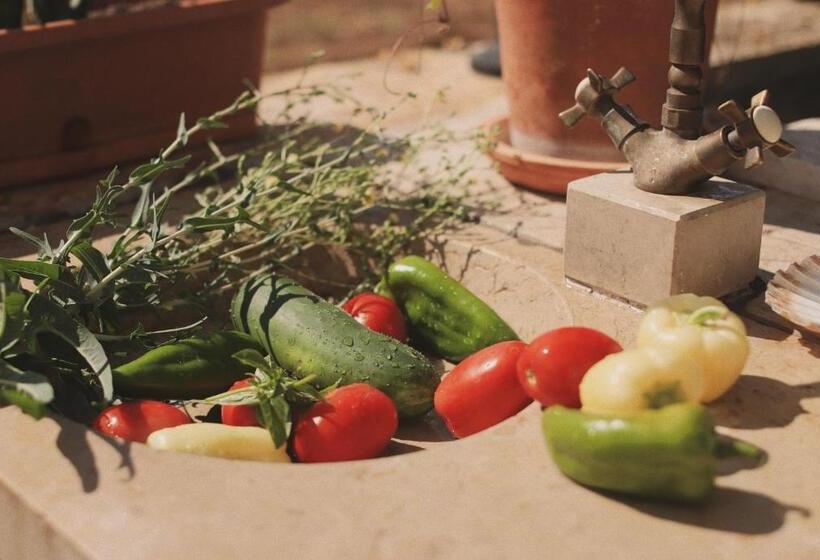 צימר Bed&breakfast Vanni