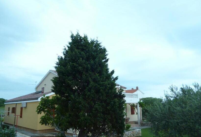 צימר Bed&breakfast Vanni