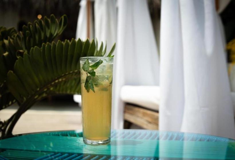 Mboutique Hotel Sayulita