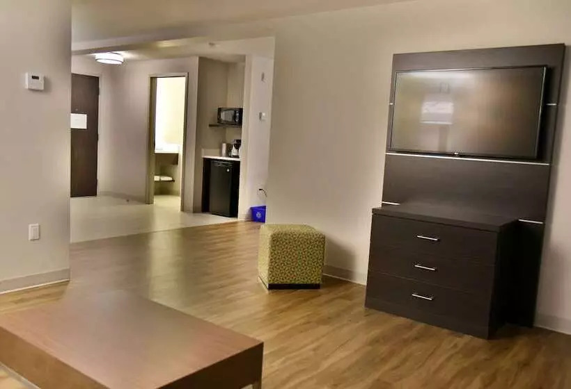 ホテル Holiday Inn Express & Suites Gatineau Ottawa, An Ihg