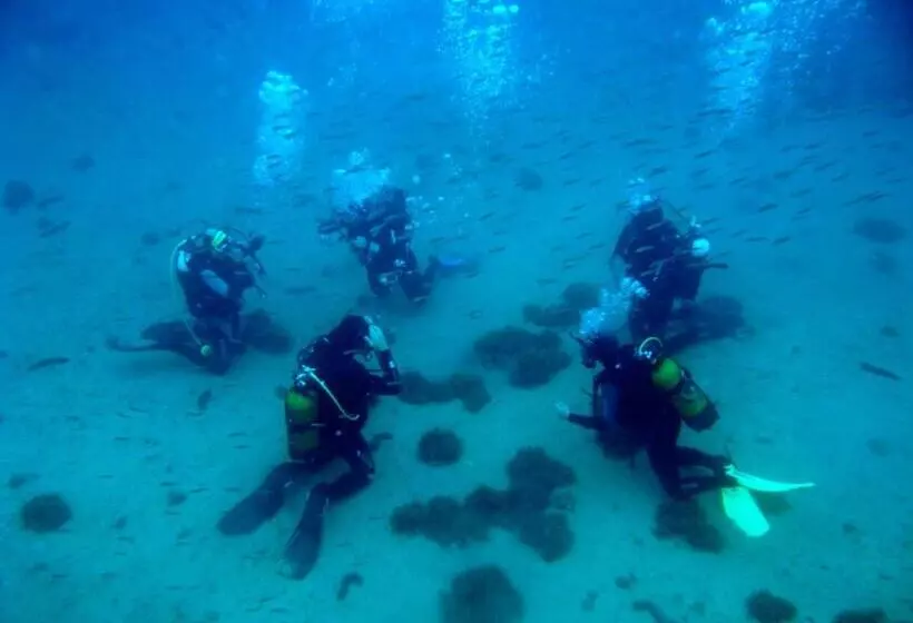 هتل Palace Vrkljan