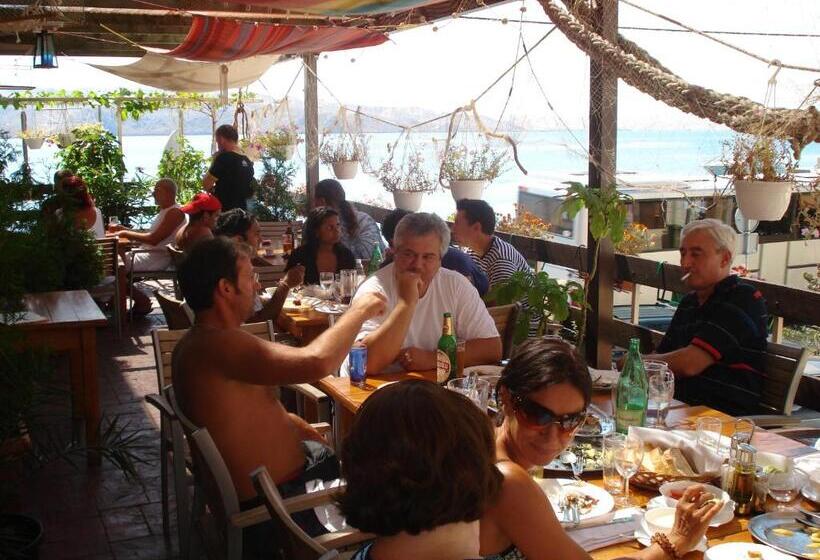 Отель Palace Vrkljan