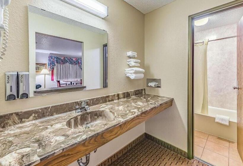 ホテル Rodeway Inn