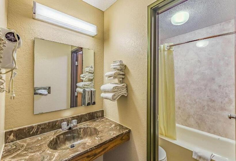 ホテル Rodeway Inn