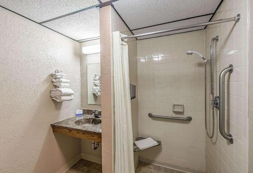 ホテル Rodeway Inn