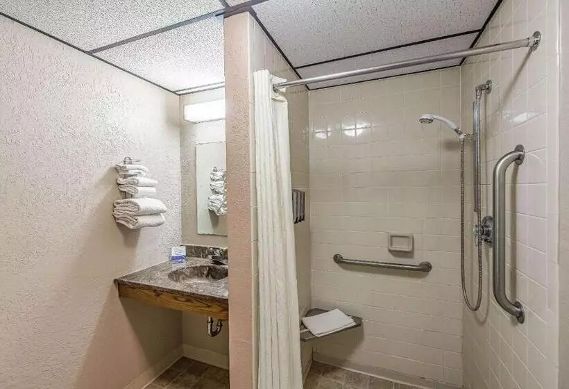 ホテル Rodeway Inn