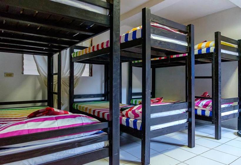 הוסטל Ayo Homtel