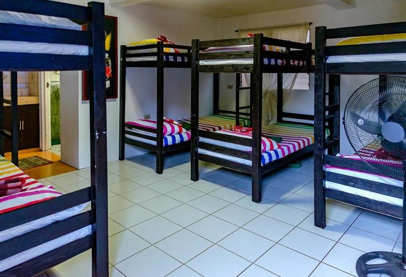 הוסטל Ayo Homtel