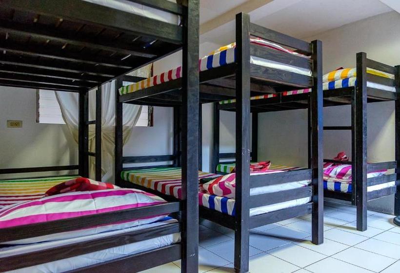 הוסטל Ayo Homtel