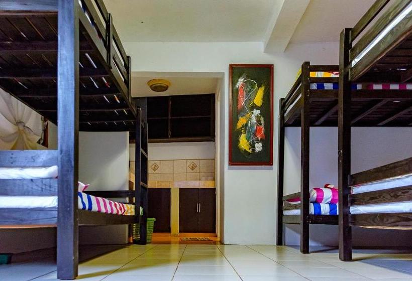 הוסטל Ayo Homtel