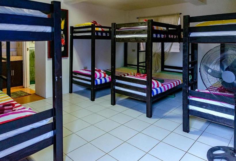 הוסטל Ayo Homtel