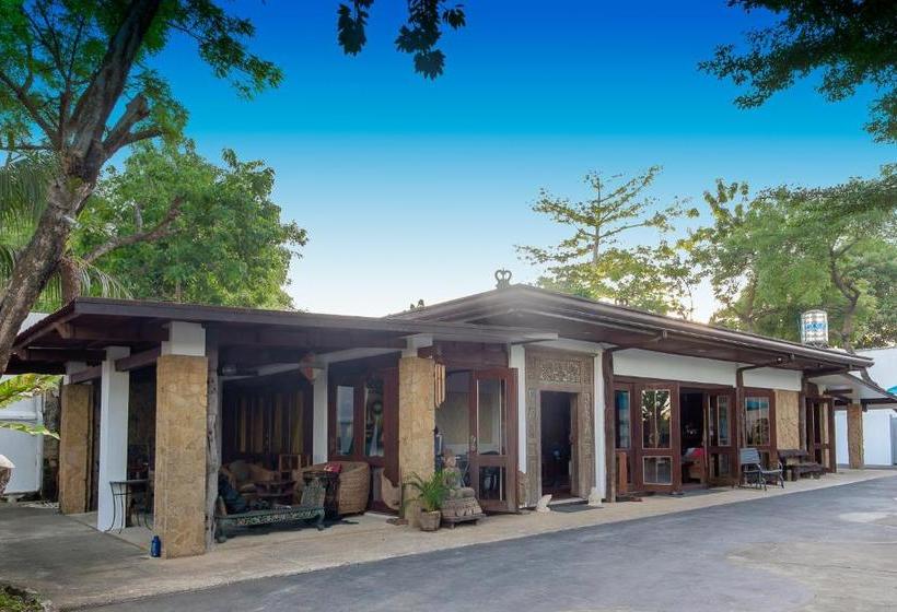 הוסטל Ayo Homtel