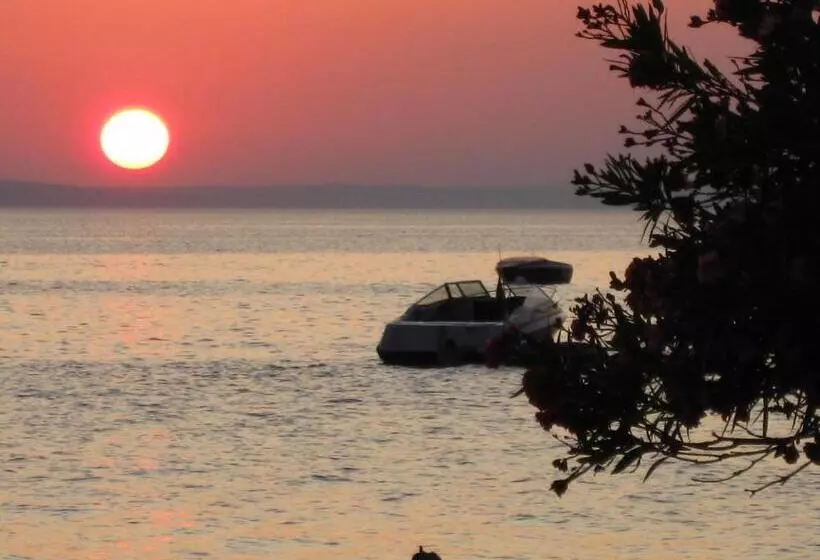 Bed And Breakfast Miramar