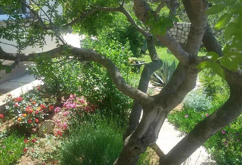 Bed & Breakfast Jugo