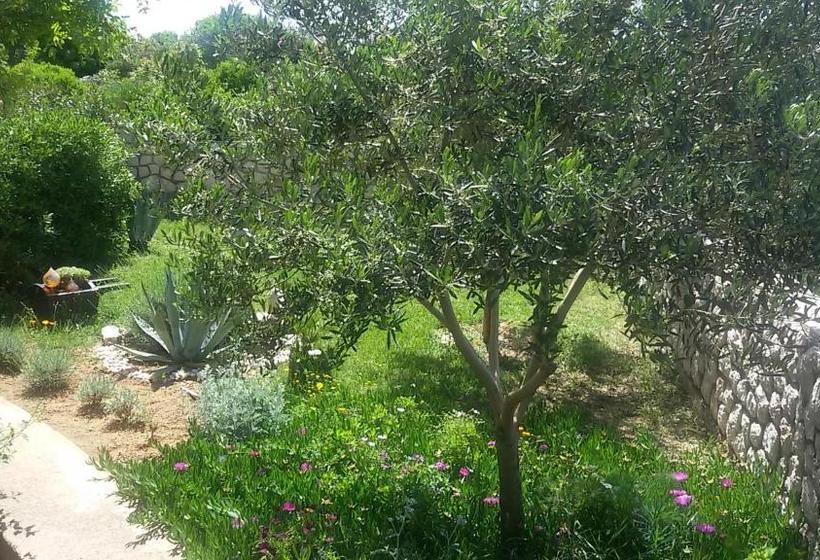 Bed & Breakfast Jugo