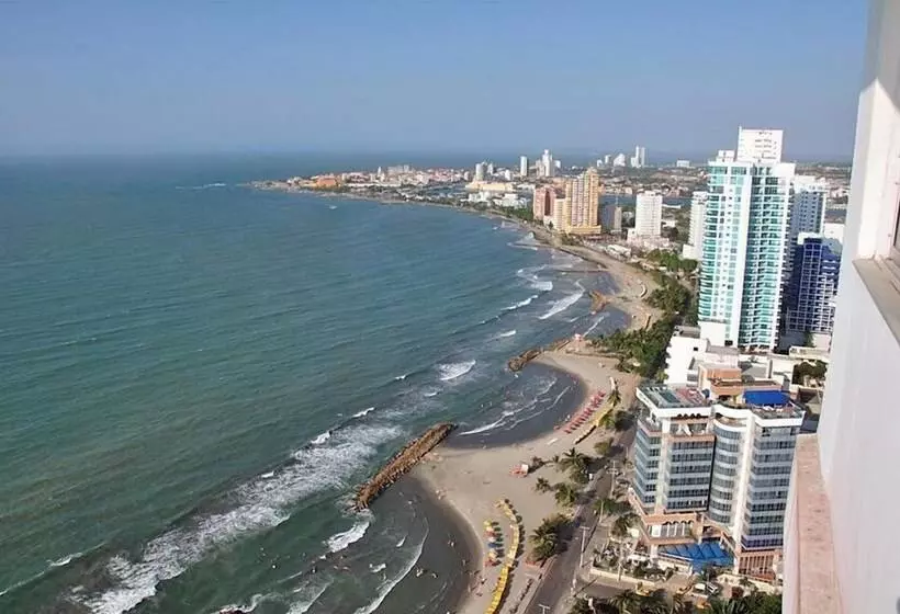 ホテル Dhi Palmeto