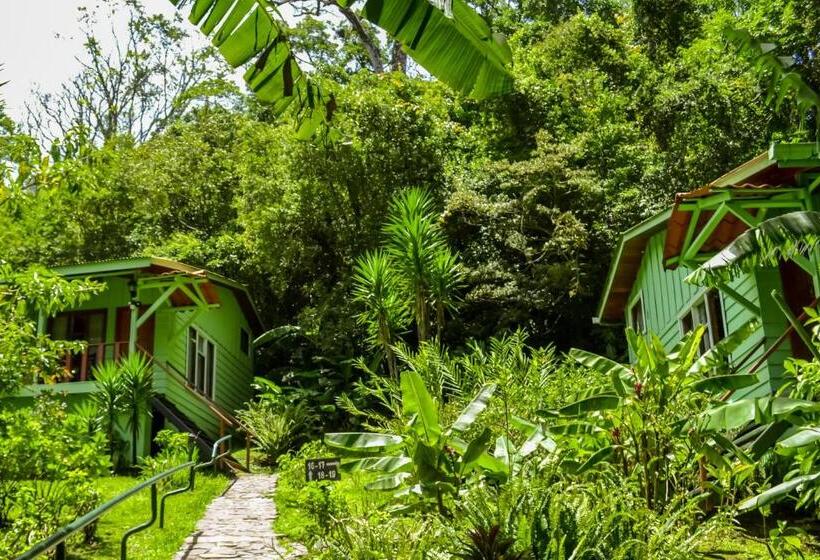 酒店 Jaguarundi Jungle Lodge   Monteverde