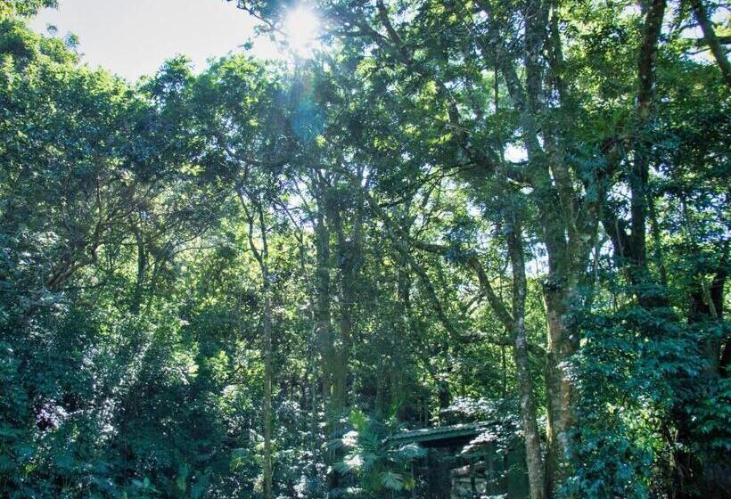 酒店 Jaguarundi Jungle Lodge   Monteverde