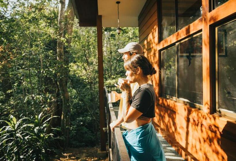 酒店 Jaguarundi Jungle Lodge   Monteverde