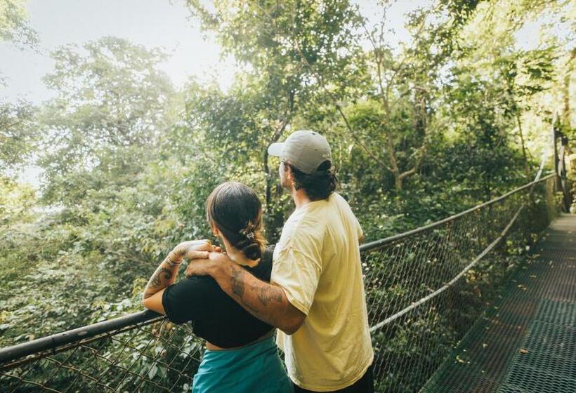 酒店 Jaguarundi Jungle Lodge   Monteverde