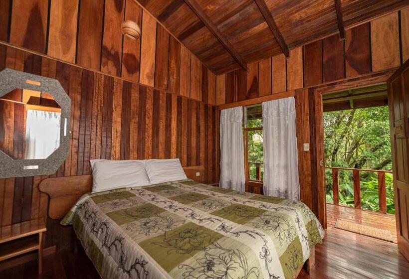 酒店 Jaguarundi Jungle Lodge   Monteverde