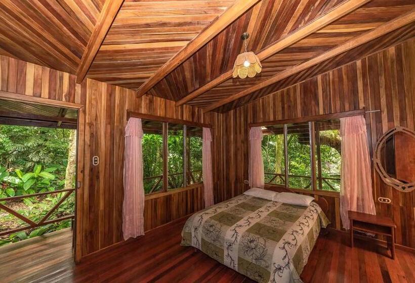 酒店 Jaguarundi Jungle Lodge   Monteverde