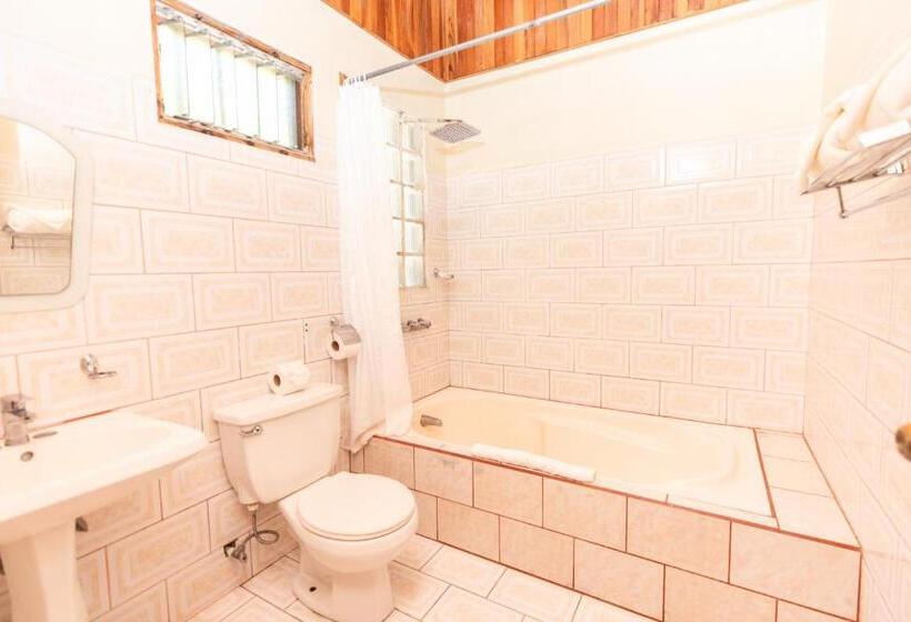 酒店 Jaguarundi Jungle Lodge   Monteverde