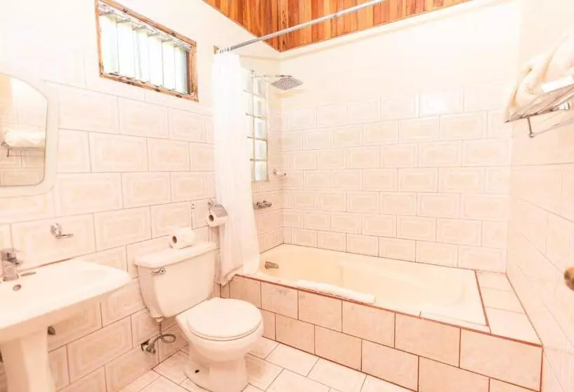 Hotelli Jaguarundi Jungle Lodge   Monteverde