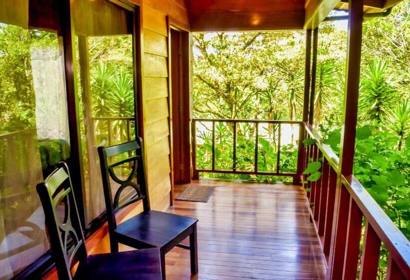 酒店 Jaguarundi Jungle Lodge   Monteverde