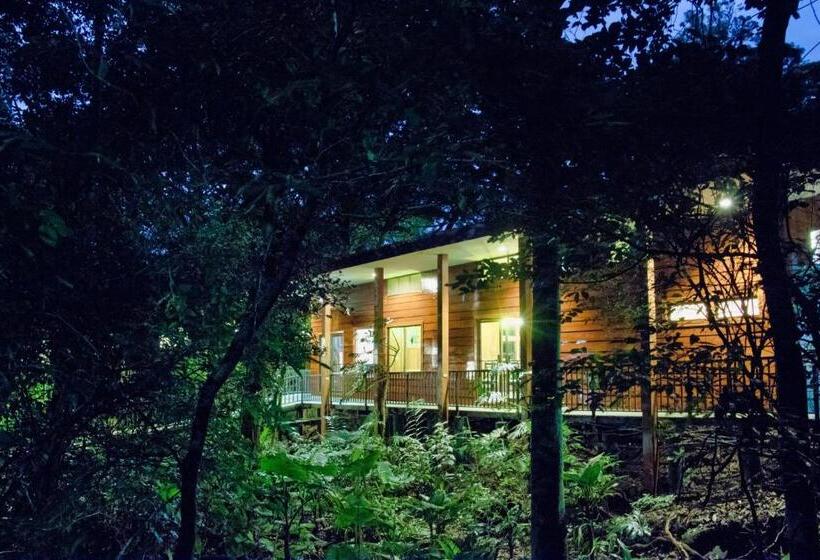 酒店 Jaguarundi Jungle Lodge   Monteverde