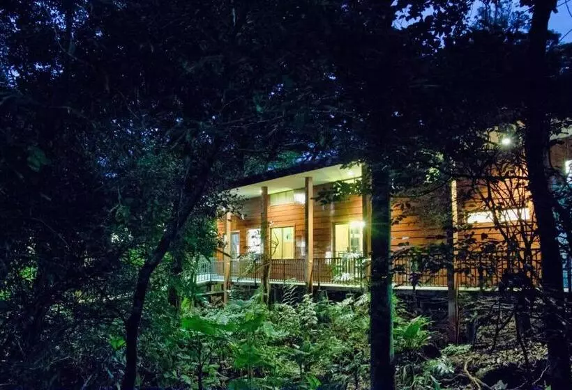 Hotelli Jaguarundi Jungle Lodge   Monteverde