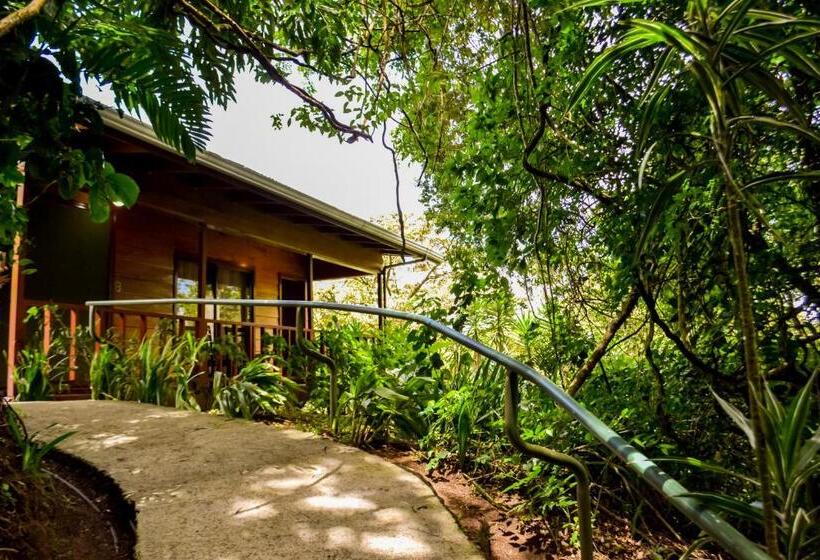 酒店 Jaguarundi Jungle Lodge   Monteverde
