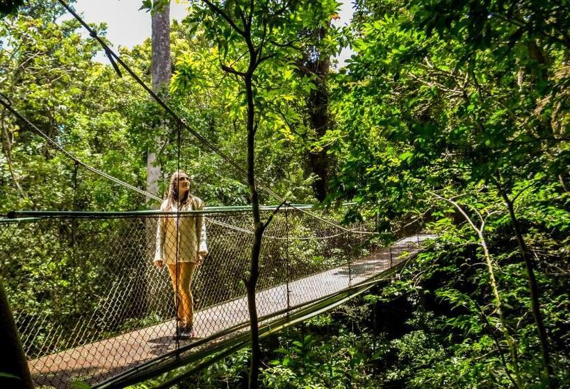酒店 Jaguarundi Jungle Lodge   Monteverde
