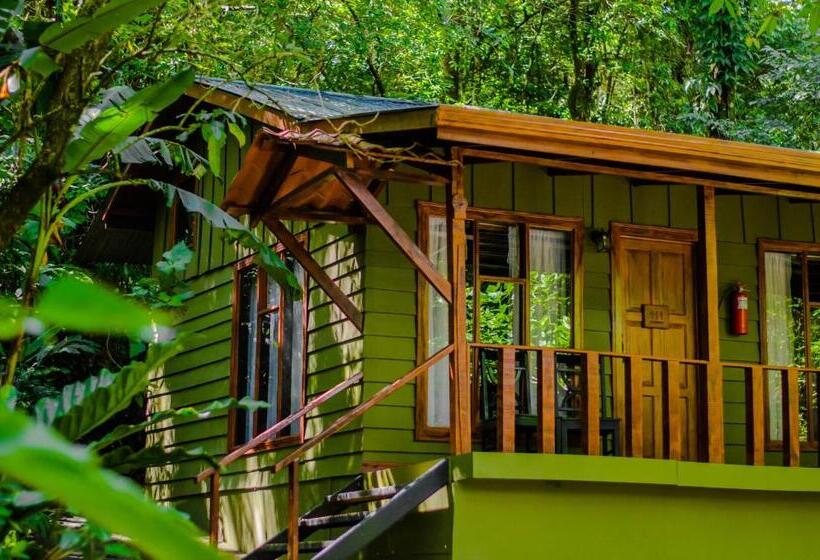 酒店 Jaguarundi Jungle Lodge   Monteverde