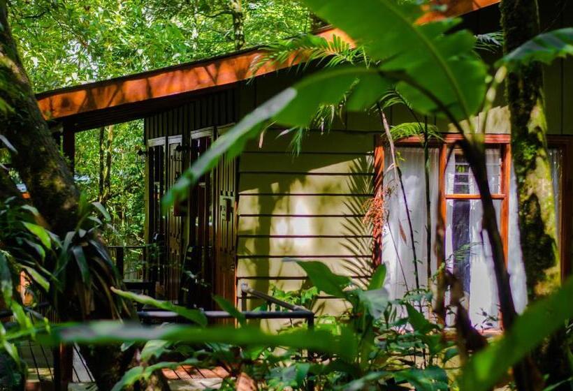 酒店 Jaguarundi Jungle Lodge   Monteverde