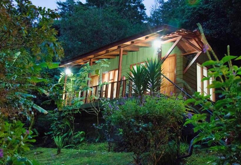 酒店 Jaguarundi Jungle Lodge   Monteverde
