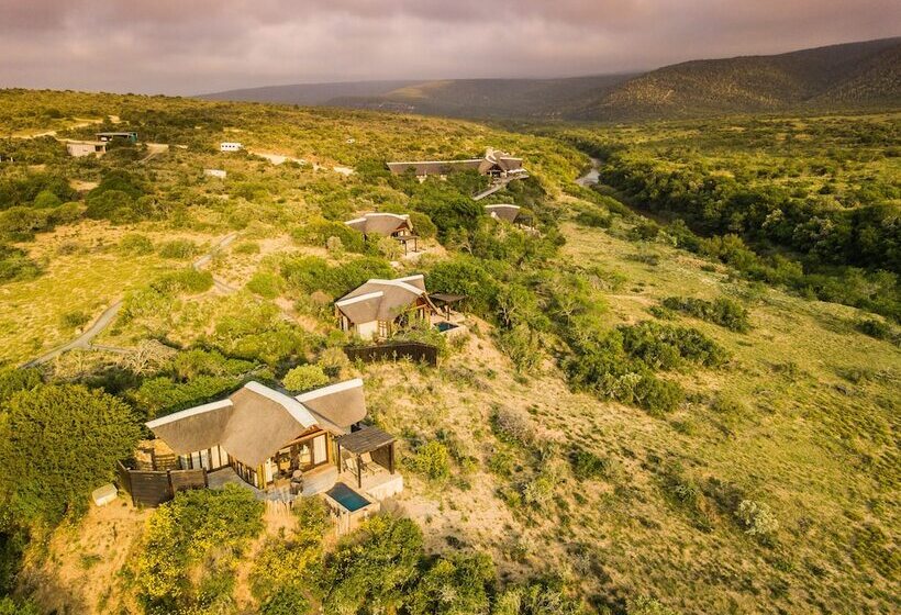 ホテル Kwandwe Great Fish River Lodge