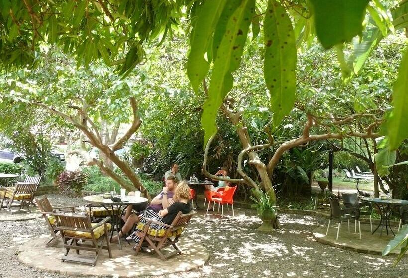 Zig Zag Town Lodge   Hostel