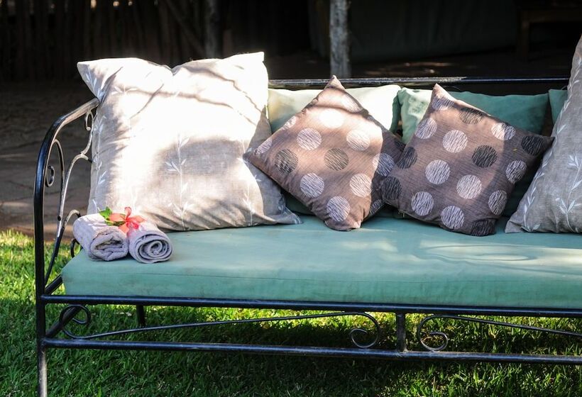 Zig Zag Town Lodge   Hostel