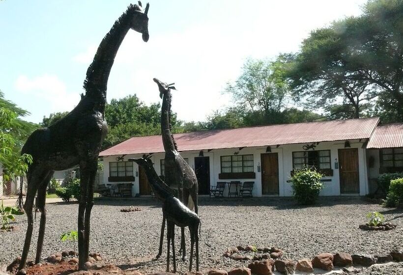 Zig Zag Town Lodge   Hostel