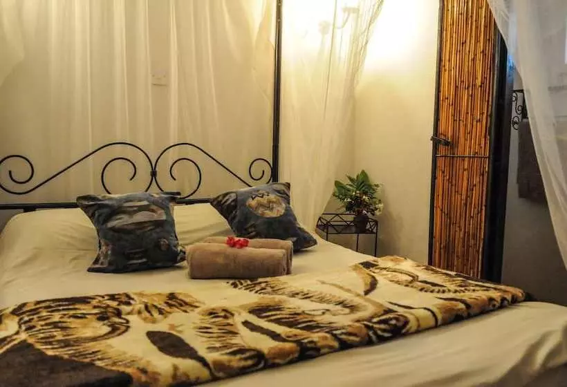 Zig Zag Town Lodge   Hostel