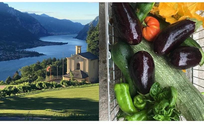 Civenna Home & Garden