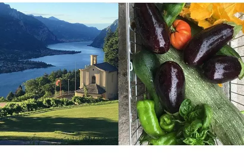 Civenna Home & Garden