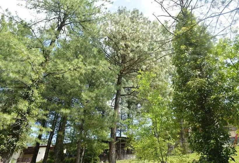 هتل Chinar Family Resort