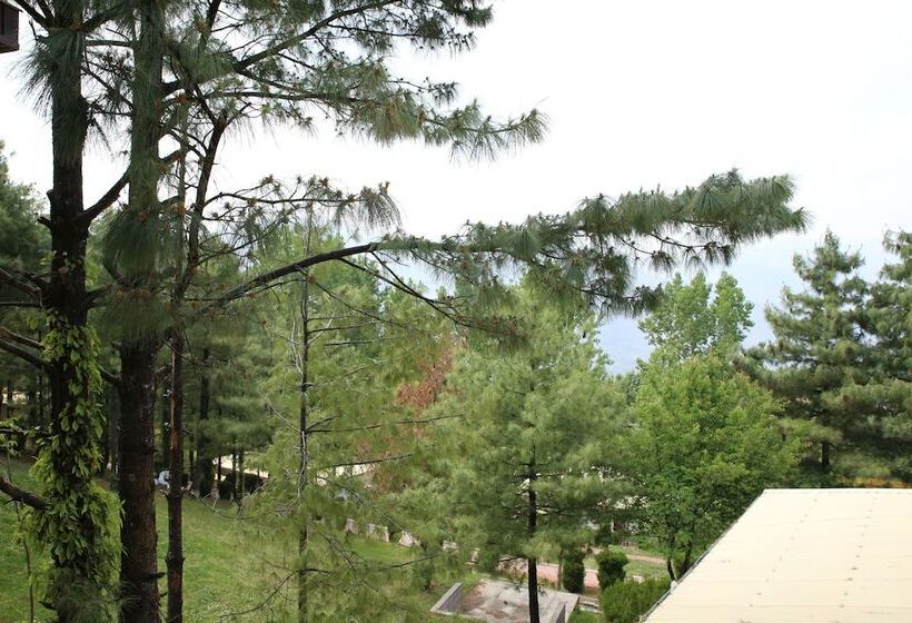 هتل Chinar Family Resort