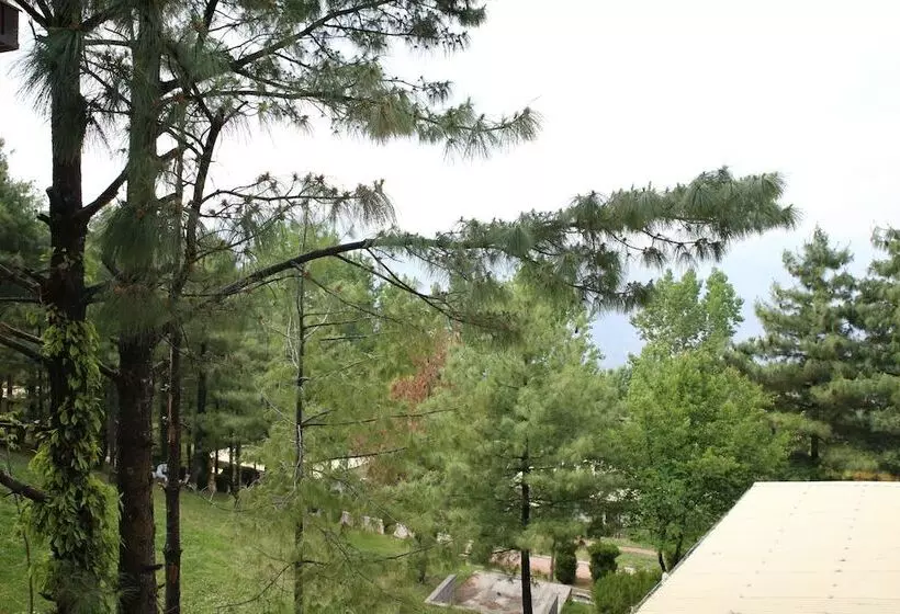 هتل Chinar Family Resort