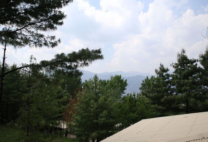 هتل Chinar Family Resort